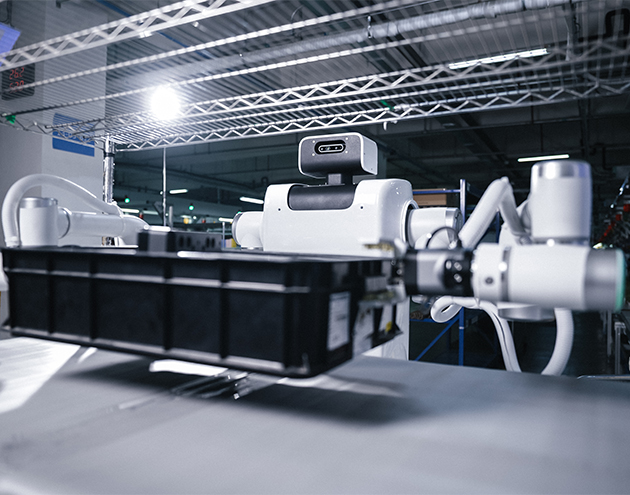 Implementation in a Leading Small Appliance Factory